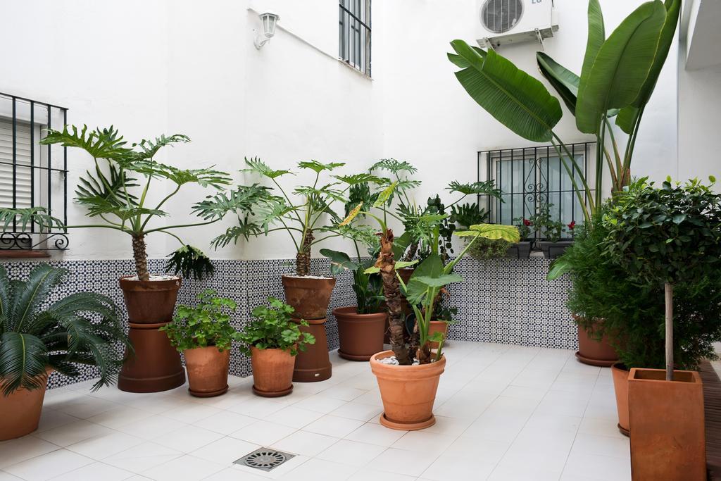 Urbanchicmalaga 3 Bedroom Spacious Quiet Historic Malaga Apt エクステリア 写真